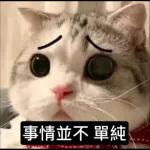 可爱猫仔贴纸-要唔可以抱下 