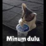 DIDIDRUPIAH100000OMONGANMUTAK TUKU KENE!