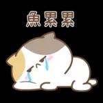 可愛貓貓❤貼心日常❤7