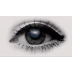                              CUTE ANIMASITOP STICKERS