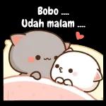 cinta