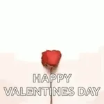 Happy Valentine's Day