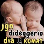 jgn didengerin dia lg kumquat