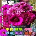 祝全家平安健康
