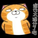 lazycat-25n