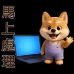 可愛柴犬⭐日常實用