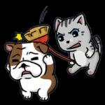 其 愛了愛了