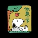 一隻黃色懶貓 x Snoopy