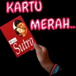 Kontol memek ngentot ewe