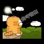 幻覺!
全都是
To