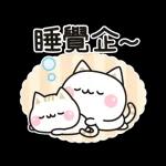 善解人意的貓貓