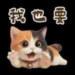 花貓可愛日常實用貼圖