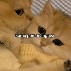 QTfJMq