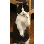 😡走開壞人😡	哼哼哼！