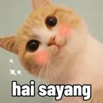 
                            Warkop Bikini BottomTOP STICKERS