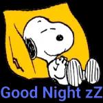 晚
安
時間不倒帶 * 歲月不重來
愿把握珍惜*善活每一天
Lim Yen Lin
祝喜悅安康舒眠到天明 Good Night