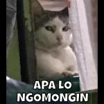 Jangan Nakal Kamu ya...