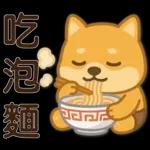 可愛柴犬⭐日常實用貼