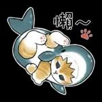 鲨鱼合金