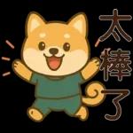 可愛柴犬⭐日常實用貼