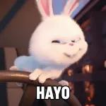 ini bocah pasti goblok