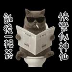 廁所貓貓✩別吵!我在用力✩
