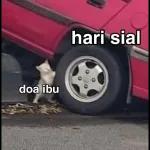 oOoooohh gi y broowW