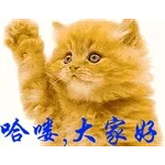 早晨☀️☀️☀️新嘅一天開始啦💗