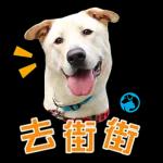  記得
飲多啲水
.
金