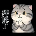 貓系列(4)-灰色虎斑貓