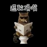 廁所貓貓✩別吵!我在用力✩