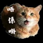 對生活說OK～～～～