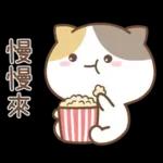可愛貓貓❤貼心日常❤7