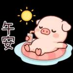 小豬豬愛聊天