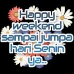 Happy weekend ☀️