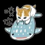 鲨鱼合金