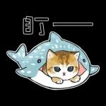 鲨鱼合金