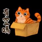 躲貓貓3-貓咪小插畫