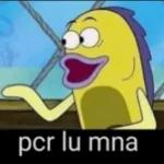 emot