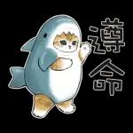 鲨鱼合金