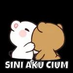 beruang mencintaimu
