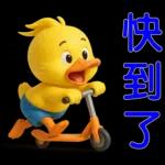 可愛黃鴨⭐日常實用貼
