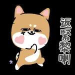等你。到未。到啦