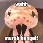 一个小女孩的脸