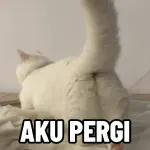 Kucing lucu🐱