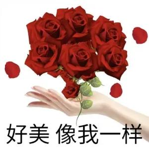 好美 像我一样 - getsticker.com