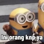 meme Minion