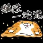 我已經累了，想瞓覺😴