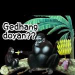 Gedhang doyan??