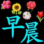 啾啾 啾啾 啾 啾 啾 啾 啾啾 啾